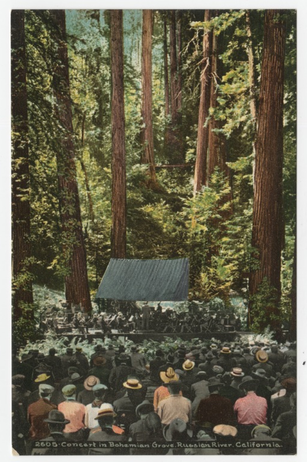 A crowd gathered for a concert beneath old-growth redwoods at Bohemian Grove, circa 1907-1914