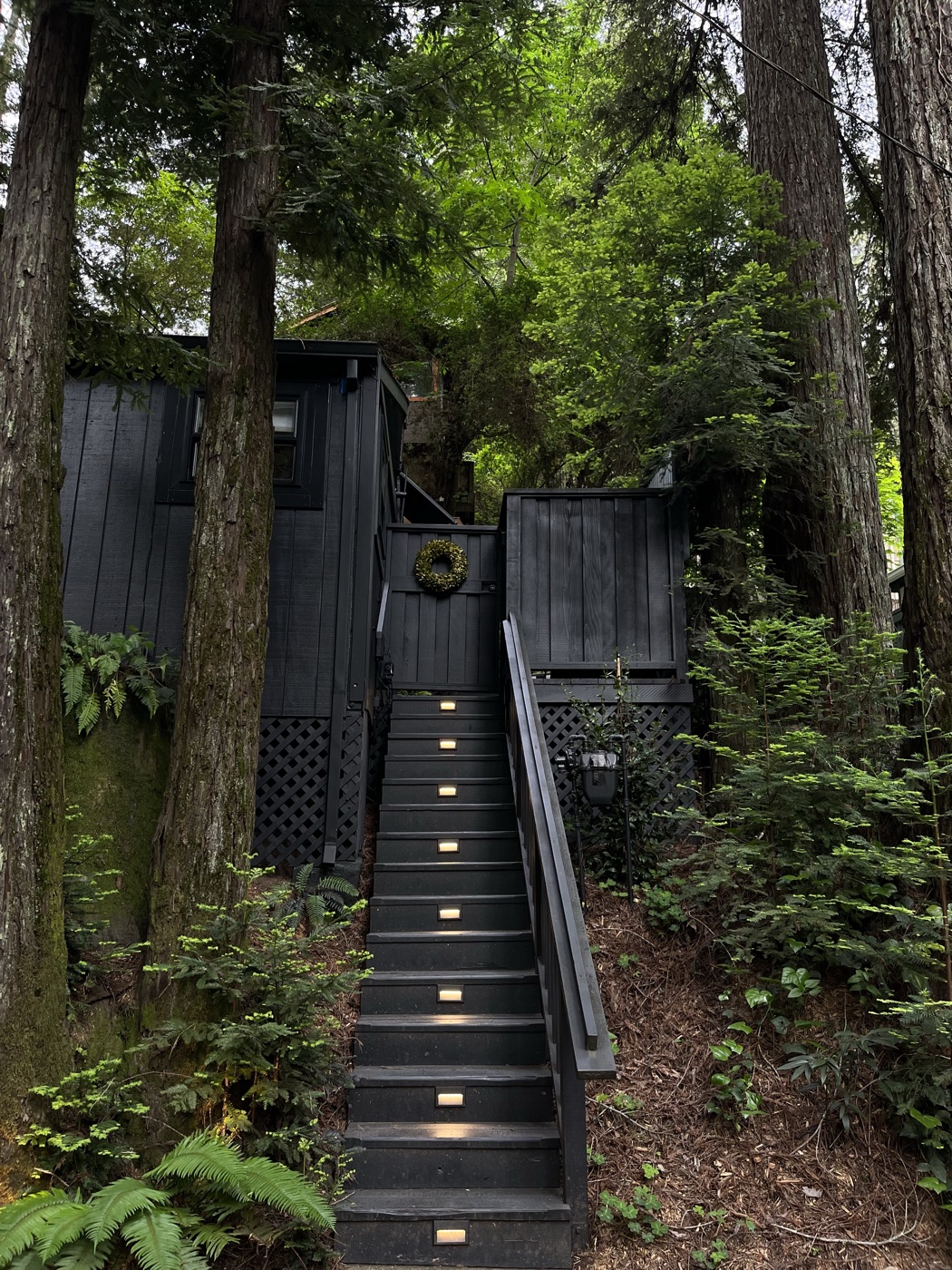 The black cabin among towering redwoods, a lantern-lit staircase climbing to the wreathed deck entrance, ferns along the path